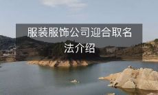 介绍服装服饰公司如何迎合消费者的取名法策略