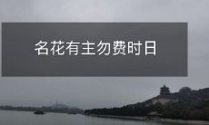 请珍惜时间,避免钻牛角尖,因为那朵花已经有一个主人了