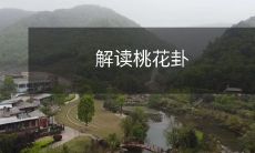 探究易经中的解析和应用:深度解读「桃花卦」的含义和对生活的启示