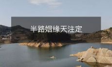 半路相遇的姻缘,仿佛是天意安排的奇妙命运奇遇