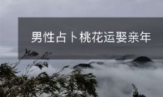 再等等?探讨男性占卜提高桃花运,是否能帮助娶到理想伴侣的年份延长?