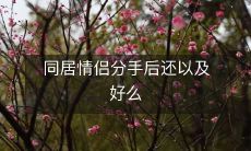 同居情侣是否可能在分手后复合并重修旧好?