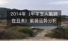 2014年甲年生人的紫微斗数运势详解:注目于丑未之间的紫薇位置