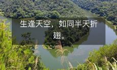 生而为人,犹如命运彷徨在苍穹中无尽徜徉,如同一只翅膀未能展开被时代所束缚