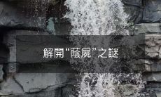 揭开“荫尸”现象的背后之谜:探究原因与解决方案