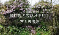 商店起名,需要考虑以下关键因素以确保品牌成功立足