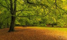 热爱自由与创新的星座:偏好在自主性高、创新能力强的公司发展