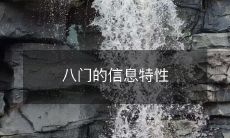 探究八门的各项信息特征与属性:从门面设计到功能性分析全面解析