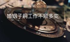 婚姻状况、子女成长和职业发展交织不清,导致工作不顺与变化频繁的问题