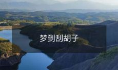 我梦见自己在刮胡子的时候,剃须刀不断滑动,那种感觉非常真实,仿佛我正在现实世界里进行这个动作