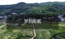 晃晃荡荡,仿佛漂浮在开阔的大海上:一段缤纷梦境中的海洋冒险体验