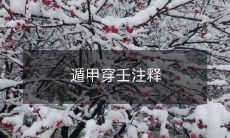 详解遁甲穿壬术及其注释和解释