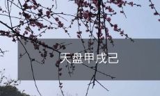 改写后的标题:历史上的天干地支纪年法——探究天盘甲戌己系别称和传承