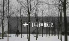 介绍奇门遁甲用神学说基本概念的综合性论述