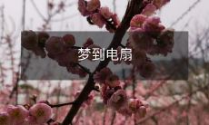 如何解释梦境中出现的电扇,它可能是代表什么,我们能从这个梦里获得什么启示?