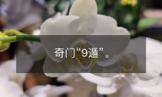 探寻神秘的奇门术“9遁”:揭开其背后深奥的面纱