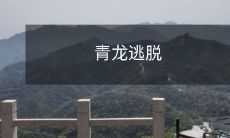 青龙猛兽成功逃脱并在茫茫草原中逸散,引发当地居民和野生动物关于生态环境影响的讨论