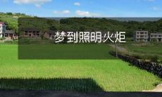 睡梦中见到闪烁的照明火炬,犹如置身于光芒万丈的奇妙世界之中