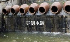 在梦中,我见到了一只水罐,它雕刻着奇妙的图案,引发了我无尽的遐想和思考!