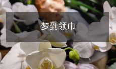 在梦中穿越时空,穿戴着华丽领巾的奇妙经历