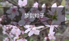 今晚的梦境:我在香甜的糯米香和枝竹叶的清香中尝尽了各式各样的粽子,留下无尽的美味记忆!