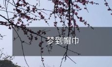 在梦中遇见的帽巾:一个神秘、充满象征意义和隐喻的潜意识探索的奇幻旅程