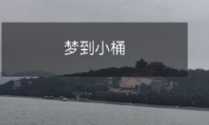 在梦境中惊奇地穿越时空,沿溪涧小径前行,突然发现身边出现一只生动且精美的小桶