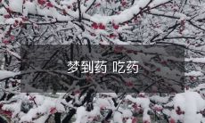 在梦中有关食用药物的经历:梦见食用药物