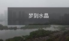 温柔晶莹的梦幻之旅——我在梦中走进了水晶之城