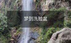 在梦中经历的情景:一个凹凸有痕、洗得发白的洗脸盆,居然意外地成为令人心动的难忘记忆