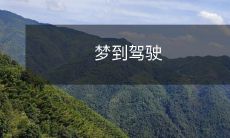 一辈子没接触过驾驶的人突然梦到驾驶,惊险刺激的体验让他意识到生活中可能有太多被错过的事情