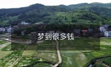 今夜梦中盛载金银财宝,你梦见了数不胜数的财富堆积如山!