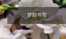 梦到自己写东西——在梦中创造文字、抒发思绪的体验与意义