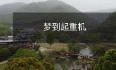 在梦中体验神奇起重机操作的奇妙之旅