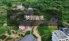 在梦中看到满是油渍的场景:究竟意味着什么?