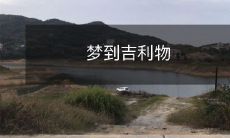 的意义是什么?这个梦境对我的未来有什么启示和预示?