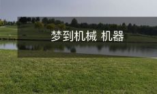 状如人形:一个机械化的梦境中探索机器与人之间的界限