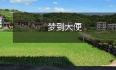 在梦中经历大便情景的个人经验和心理印象分享