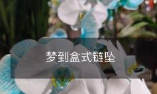 梦见自己佩戴着一款华丽的盒式链坠,在美梦中尽情敞开心扉,尽情享受生命的美好瞬间!