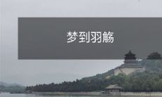 在一个美丽而神秘的夜晚,我梦见自己置身于一个充满着诗意和浪漫气息的场景中,迎接我的是一位梦幻般的美女和一杯晶莹剔透、盛满诱人香气的羽觞酒:羽觞的梦幻情境下