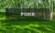 如何避免梦到假票的机场恶梦并正确处理?