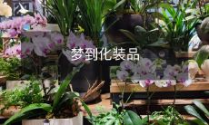 在梦中穿梭,探索奇幻化妆世界——描绘化妆品在梦境中的缤纷画卷