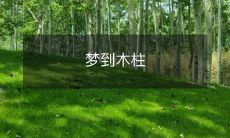 今晨在梦里看见一根高大的木柱,似乎预示着什么?