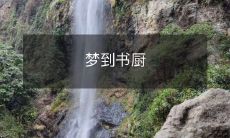 的一天:我的书架上居然多了无数宝贵文学珍品和百科全书?