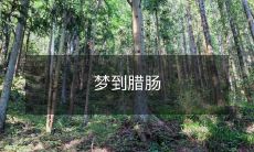 生活中的萌宠——梦见腊肠犬,如何诠释你的心情与情感?