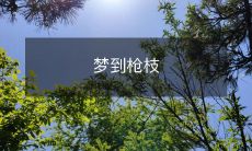 在梦中经历的惊险刺激——梦见手持枪枝的瞬间体验