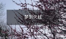 在梦中欠债的场景:被债务缠身的梦境体验