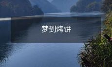 今天晚上睡梦中探寻烤饼的诸多姿态与特性