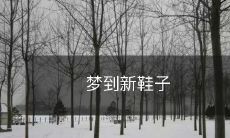 在梦中得到一双全新的鞋子:畅想未来前景的预示?