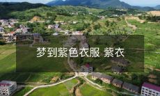 物如梦境:惊艳的紫色衣服在梦中穿越到你的现实中